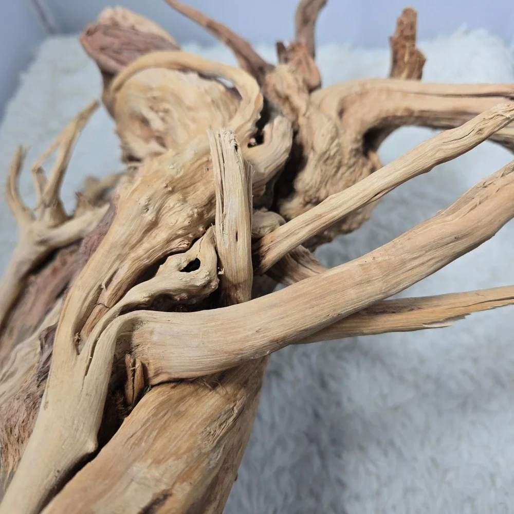Natural Driftwood Aquarium Terrarium Decor 16 Inch Tan Large Root‎ Sculpture
